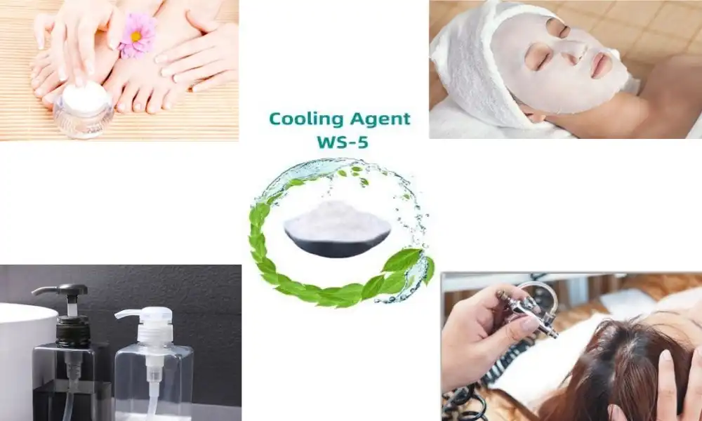 Ws 5 Cooling Agent: A Comprehensive Guide